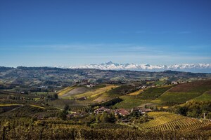 Italian Wine Podcast: Your Exclusive Backstage Pass to Grandi Langhe 2025