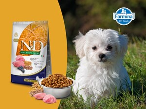 Farmina Pet Foods Earns 2024 Business Insider Awards for Best Dry Cat Food and Best Small Dog Breed Food