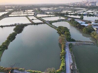 Views of the proposed area for the future Sam Po Shue Wetland Conservation Park