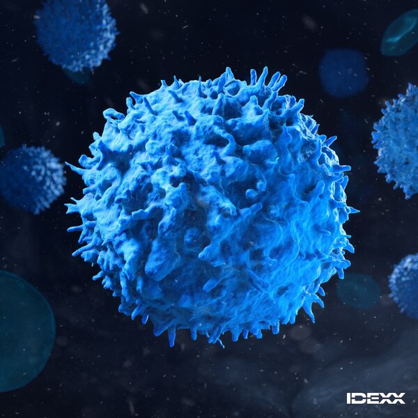 IDEXX Announces Groundbreaking Cancer Dx Panel with Affordable Early