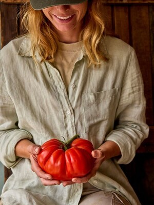 Burpee Garden Sown (TM) ‘Groundswell’ Tomato (PRNewsfoto/Burpee Gardening)