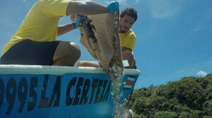 Back Home by FIFCO: Through AI, Costa Rica returns over 36,000 seashells to their habitat to restore the ecosystem