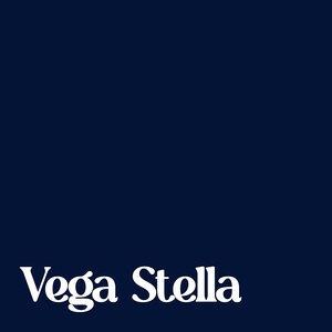 Vega Stella Appoints Al Hansen, Former Questcor Chairman, as Senior Managing Director to Lead Healthcare Strategy