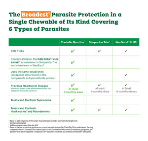 Now Available: Credelio Quattro™ (lotilaner, moxidectin, praziquantel, and pyrantel chewable tablets) Provides Broadest[i] Parasite Protection of Its Kind