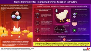 New Research in The Journal of Poultry Science: Trained Immunity Offers Novel Poultry Disease Prevention Strategies