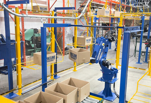 Pacline Robotic Carton Loading