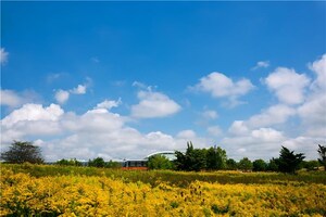 MillerKnoll Unveils New Sustainability Strategy and Issues 2024 Better World Report