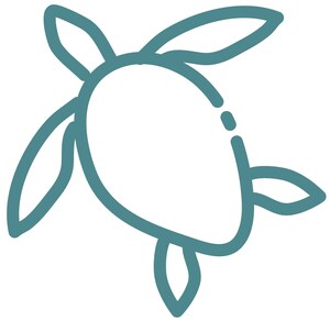 Tortally Therapeutics, LLC: Redefining Mental Health Care Inspired by Tortoise Symbolism