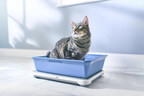 the Petivity Smart Litterbox System