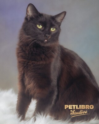 Unable to view the image, Please provide a valid URL.