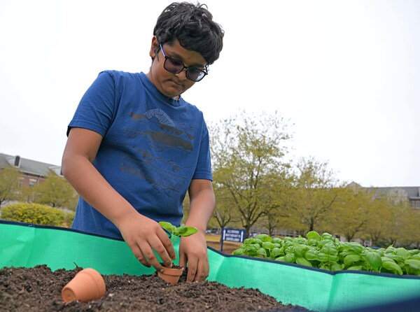 Unable to view the image, Please provide a valid URL.