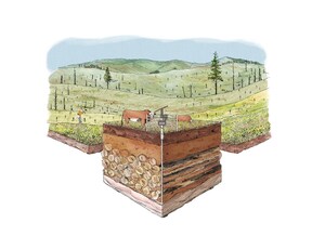 Mast Announces Market-first Restorative Carbon Removal Project and $25 Million in Series B Funding