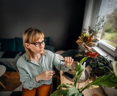 Elevating Indoor Air Quality Standards: Kimberly-Clark’s New Kleenex® Air Filters Earn Asthma & Allergy Friendly® Certification