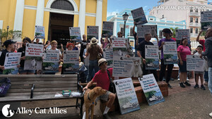 Alley Cat Allies Continues Worldwide Protest to Stop U.S. National Park Service from Killing Puerto Rico Cats Alley Cat Allies Continues Worldwide Protest to Stop U.S. National Park Service from Killing Puerto Rico Cats