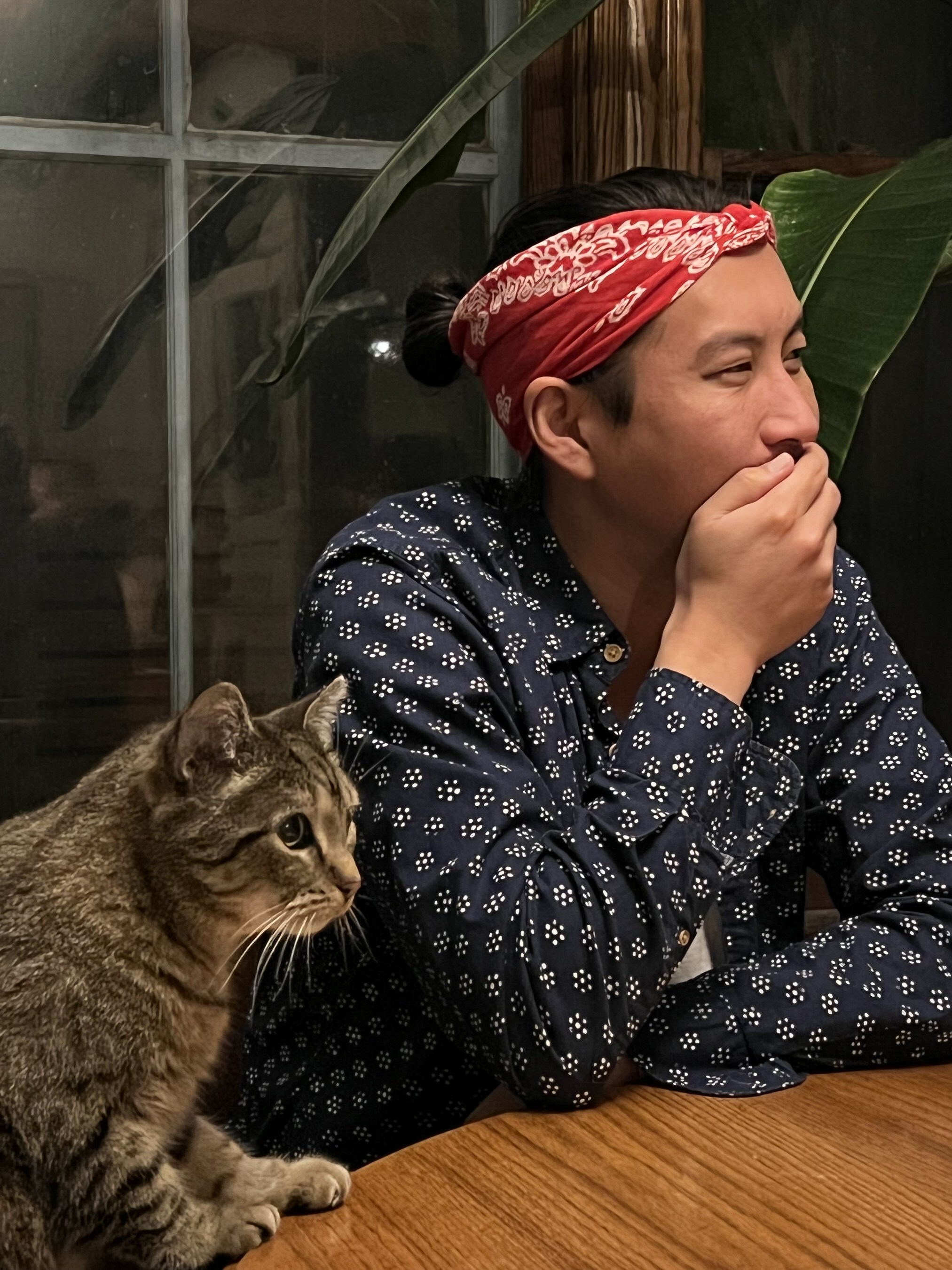 Unable to view the image, Please provide a valid URL.