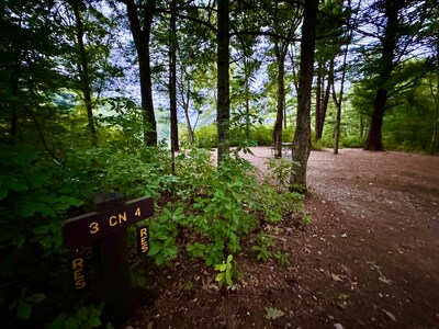 Camping Cancellations and No-Shows Decreased in 2024