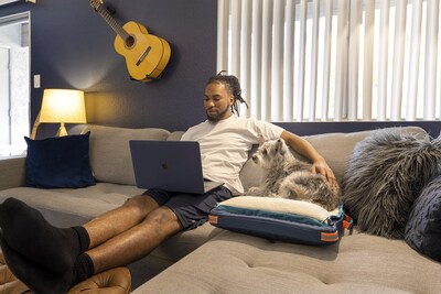 Brandon and Kashi at home, hard at work