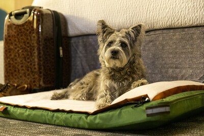 RuffRest is TSA-friendly pet luggage which doubles as a dog bed, complete with integrated blanket