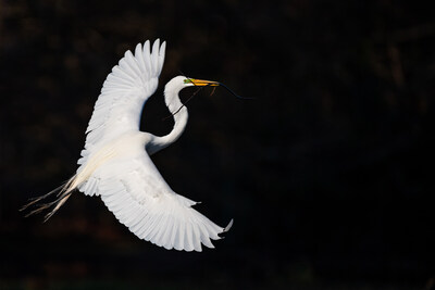 2025 年全球银行业和金融市场展望