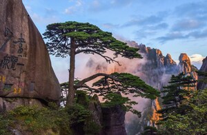 Huangshan emerges as top destination for overseas tourists exploring China