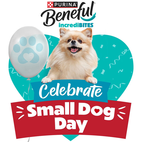 Beneful invites pet owners to celebrate their beloved small dogs and delight them with Incredibites on ‘National Small Dog Day’ on February 27.