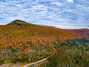 Chestnut Carbon Announces First Issuance of Credits from Forest Conservation Membership Program