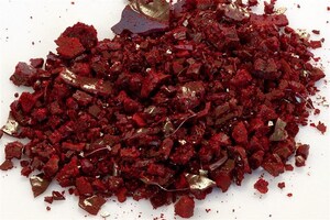 Debut Scores Breakthrough in Carmine Bioproduction and Unveils Plans to Launch the First-ever Molecular Replica of the Vibrant Red Pigment