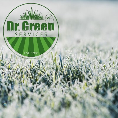 Dr. Green Services