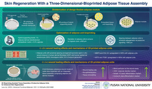 Pusan National University Researchers Develop a Novel 3D Adipose Tissue Bioprinting Method