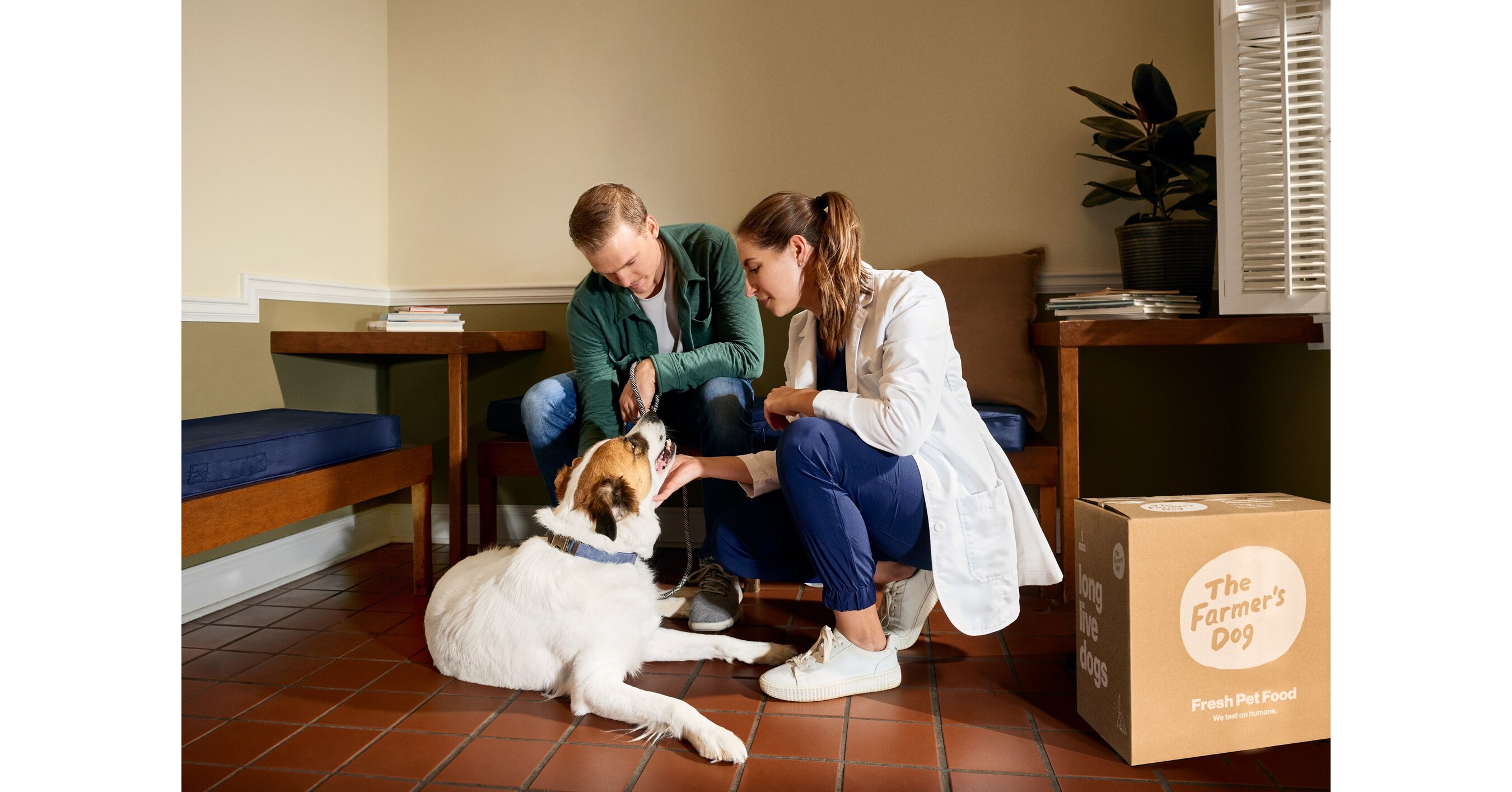 The Farmer's Dog Announces Additional $10 Million Investment in ...