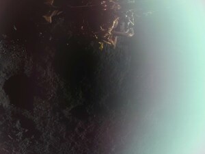 Touchdown! Carrying NASA Science, Firefly's Blue Ghost Lands on Moon