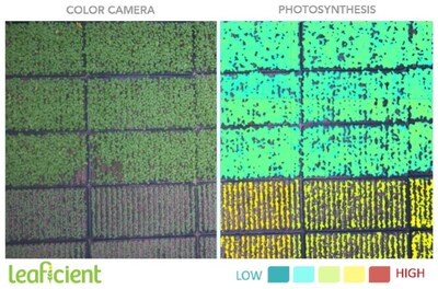 Sollum and Leaficient introduce the first closed-loop, plant-adaptive dynamic lighting system, which adjusts lighting in real time based on plant productivity and growth rates. The combined Sollum-Leaficient solution leverages Leaficient’s cutting-edge plant monitoring technology to measure photosynthetic efficiency and adjust light intensity accordingly. (CNW Group/Sollum Technologies)