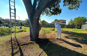 Wilder Tree Company Welcomes Certified Arborist David Boyer and Expands Plant Healthcare Services in Austin