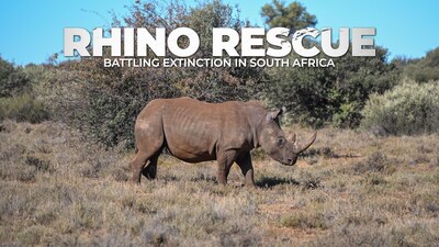 Rhino in the field from Rhino Rescue