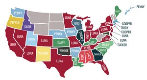 CAMP BOW WOW® UNLEASHES TOP 10 PUPPY NAMES FOR 2025