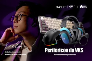 HAVIT × SeeEL: equipamento profissional para games aumenta o desempenho da equipe VKS