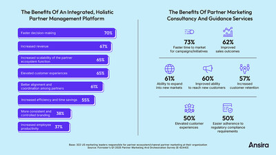 The benefits of an integrated, holistic partner management platform, and of partner marketing consultancy and guidance services.