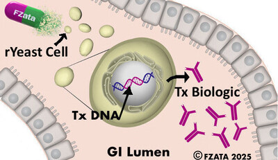 Fzata FZ002 recombinant yeast express DNA payload and secrete therapeutic protein in the GI.