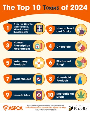 ASPCA Sees Increase in Number of Calls to Poison Control Center in 2024, Including Rise in Cases Related to Hallucinogenic Mushroom Consumption
