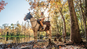 VISIT FLORIDA and Emergent Media Partner on Two Creator-Led Original Video Series