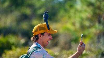 Unable to view the image, Please provide a valid URL.