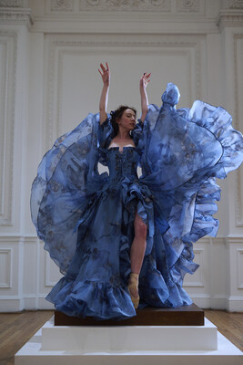 Unable to view the image, Please provide a valid URL.