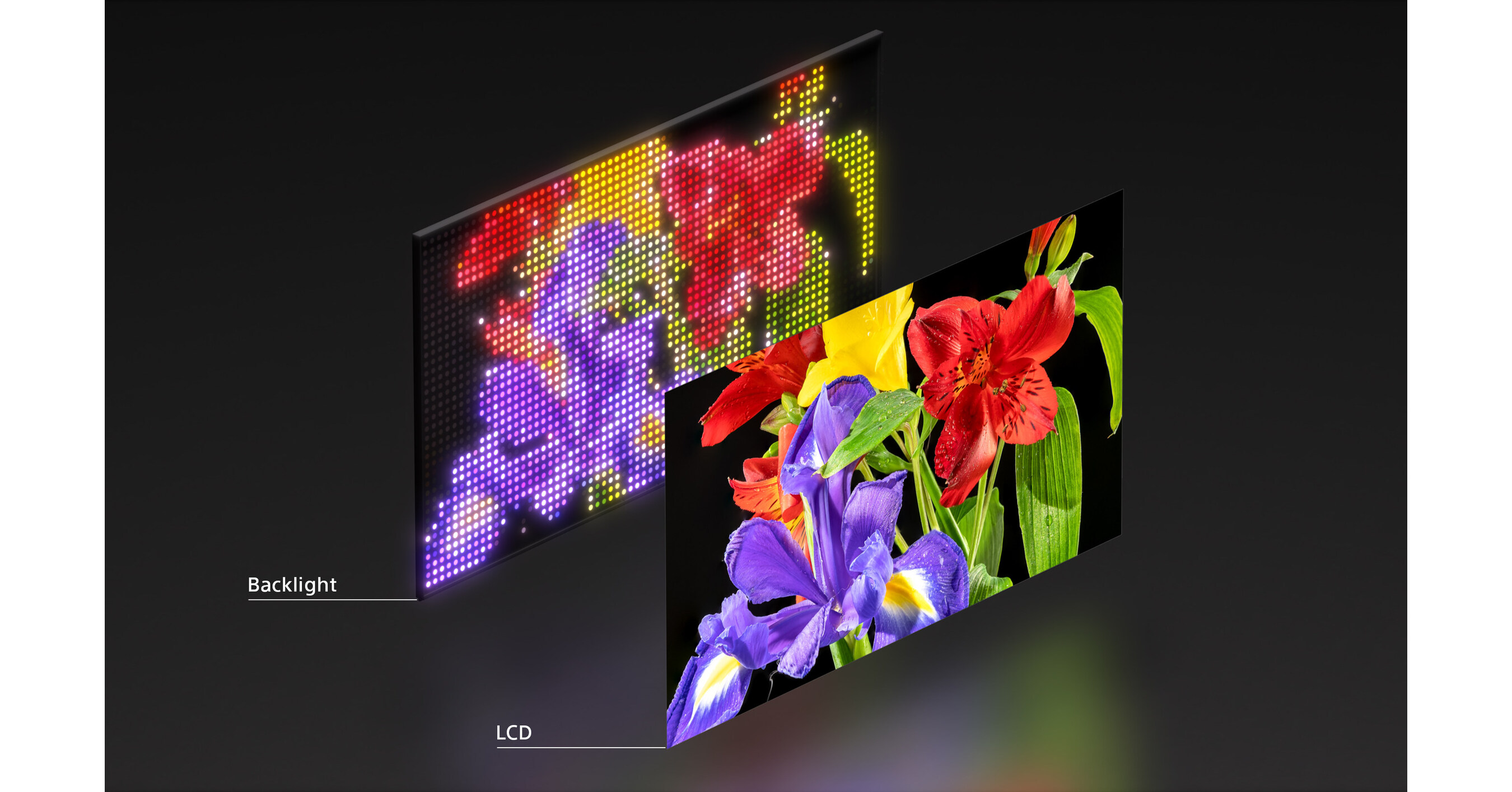 Sony Develops Next-Generation Display System with Proprietary Signal ...