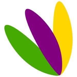 Plumosity Logo
