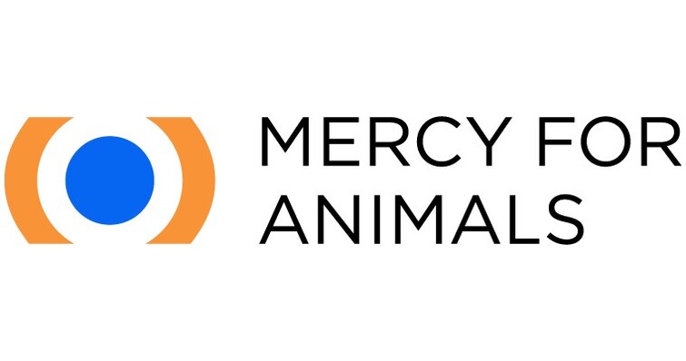 Mercy For Animals names new president to drive global impact