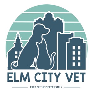 New Veterinary Hospital, Elm City Vet, (Part of the Pieper Veterinary Family), Opened March 17th in Downtown New Haven