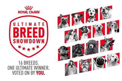 Royal Canin Ultimate Breed Showdown