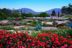 Temecula Valley: A Picture-Perfect Spring Destination