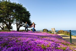 Renew, Refresh, Revive in Monterey This Spring at Inns of Monterey