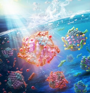 Nagoya Institute of Technology Scientists Develop an All-in-One Catalyst for Solar-Driven Water Remediation